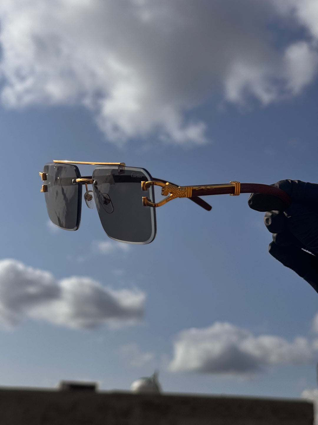 Solar cheetah glasses